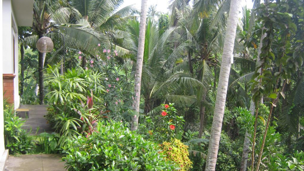 Mahanadewi Villa Ubud  Room photo